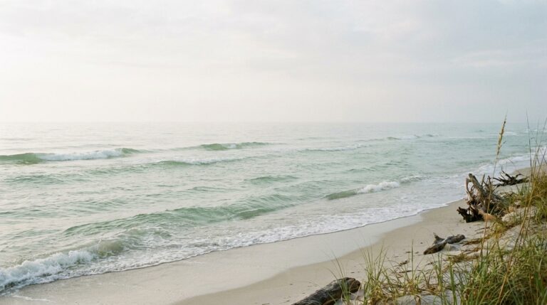 découvrez les 8 qualités essentielles à développer pour réussir dans la vie et atteindre vos objectifs personnels et professionnels.