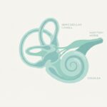 découvrez les causes possibles d'une sensation d'oreille bouchée sans obstruction et les solutions efficaces pour soulager ce désagrément.